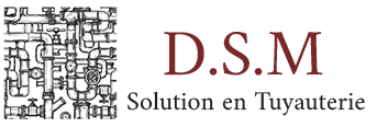 D.S.M